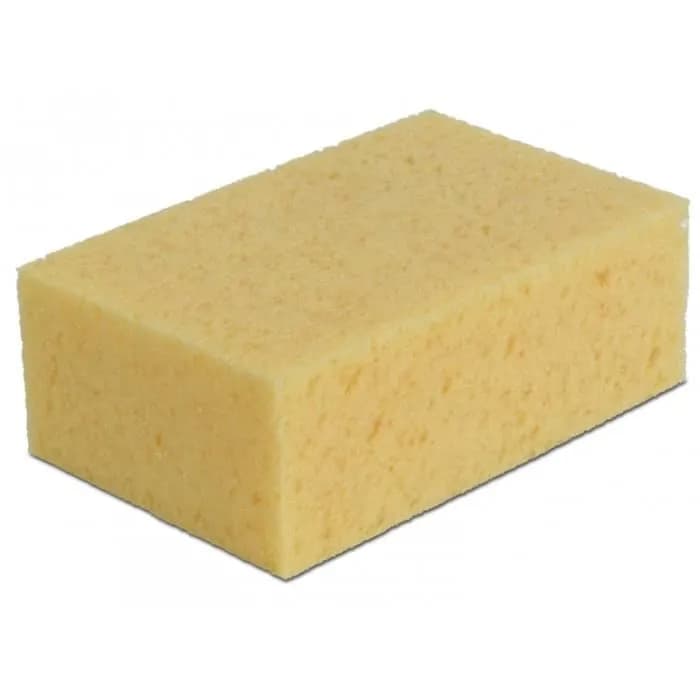 بونجة عادية