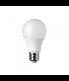 Lampe Led 12W E27 6500K